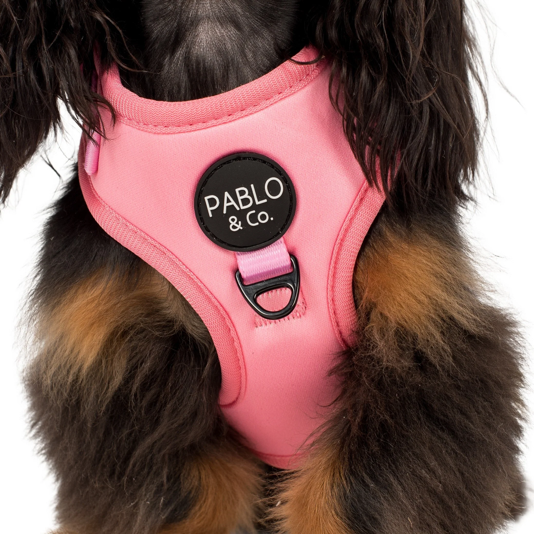 Cotton Candy: Adjustable Harness - Image 2