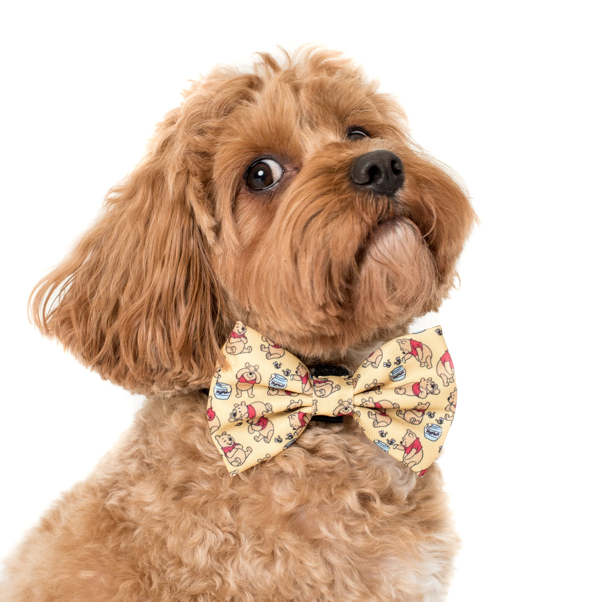 Winnie the Pooh & Bee's: Bow Tie - Image 2